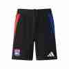 Tailandia Pantalones Olympique Lyon Segunda 2024 2025