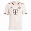 Equipacion Bayern Munich Tercera 2024 2025