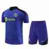 Tailandia Conjunto Equipacion Entrenamiento FC Barcelona 2024 2025 Purpura