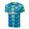 Tailandia Equipacion Entrenamiento FC Barcelona 2024 2025 Verde Azul