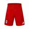 Tailandia Pantalones Fulham Segunda 2024 2025