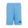 Tailandia Pantalones Real Madrid Portero Primera 2024 2025