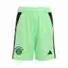 Tailandia Pantalones Bayern Munich Portero 2025 2026 Verde