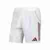 Tailandia Pantalones Aston Villa Tercera 2025 2026