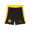 Pantalones Borussia Dortmund Primera 2025 2026