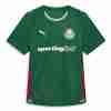 Tailandia Equipacion Palmeiras Primera 2026 2027