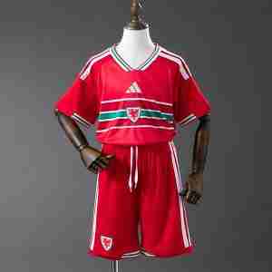 Equipacion Gales Conjunto Niños Primera 2026