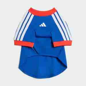 Equipacion Estados Unidos Para Mascotas 2026_1
