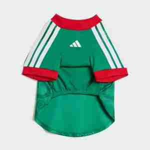 Equipacion México Para Mascotas 2026_1
